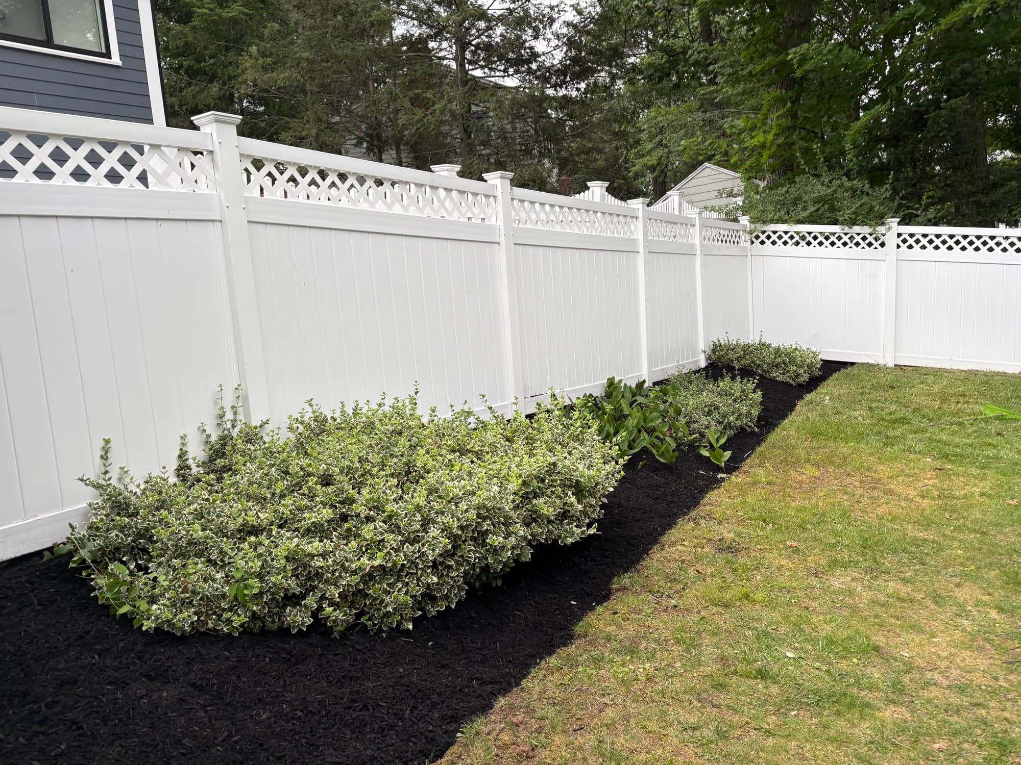 Trimmed shrubs in a fresh black mulch bed along a white fence