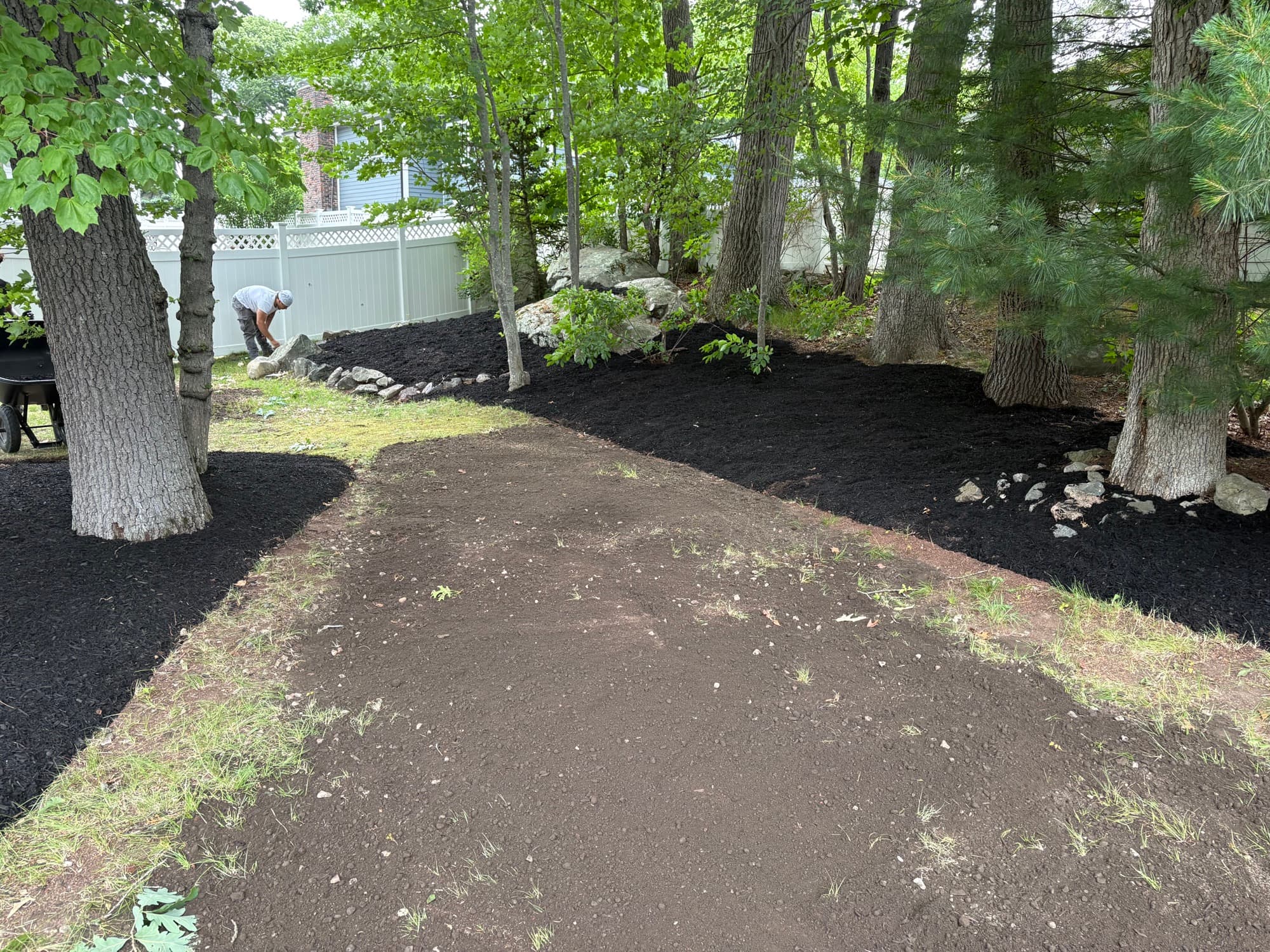 The VC crew grading and mulching a wooded backyard