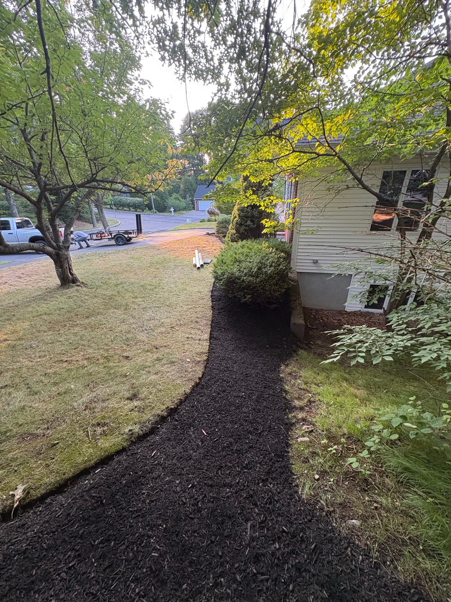 Sweeping black mulch bed curving through a front yard toward the house